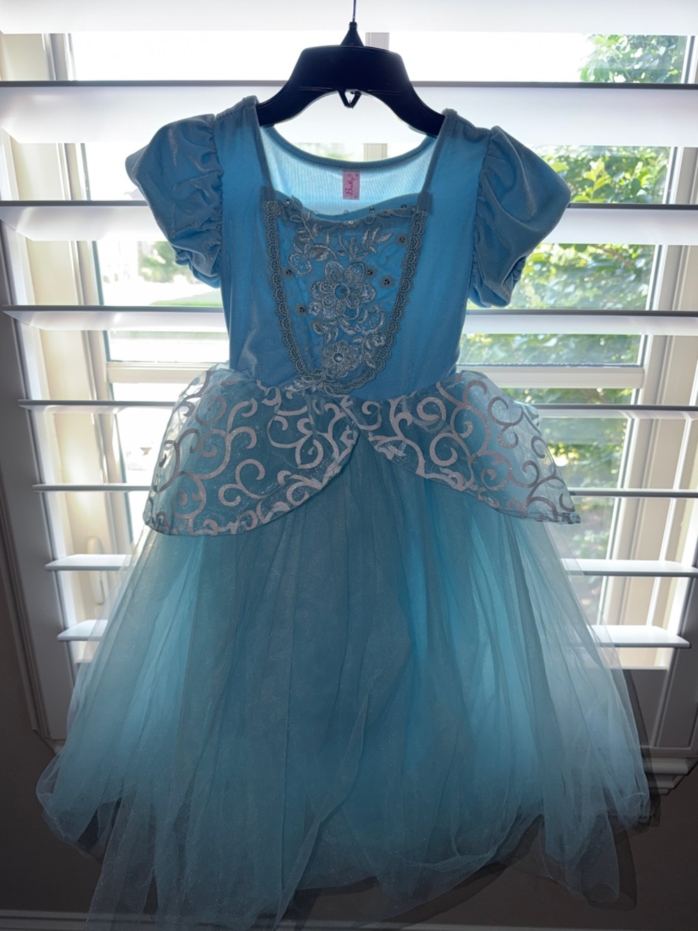 Cinderella Princess Tulle Costume Dress with accessories - Kids